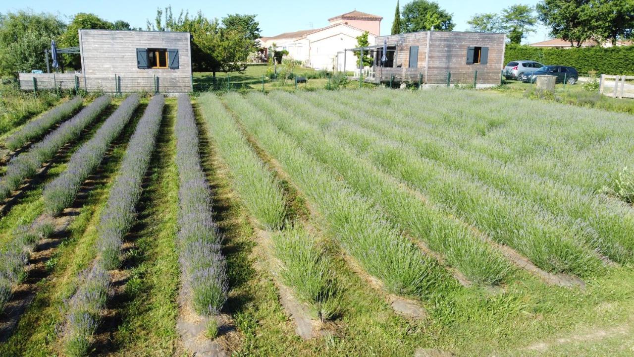 Domaine D'Elusa Vic-Fezensac Luaran gambar