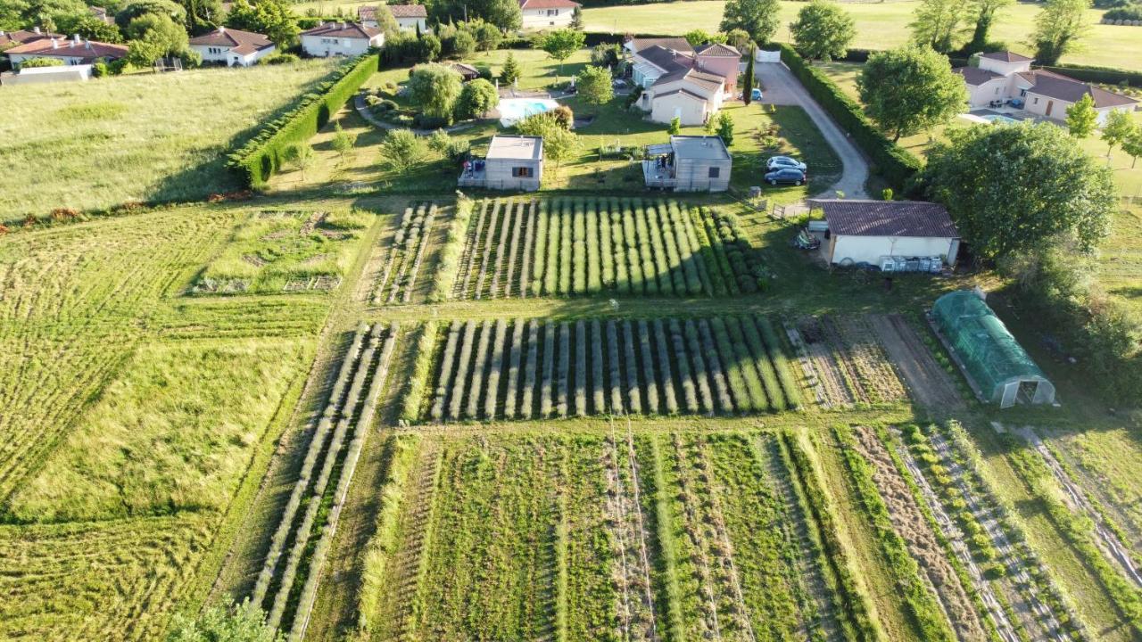Domaine D'Elusa Vic-Fezensac Luaran gambar